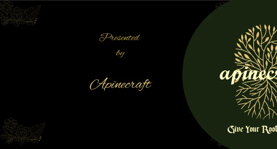 Apinecraft Events: Event concept, branding & design